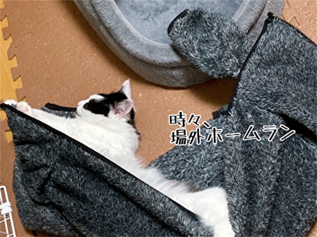 f:id:fukufukudo:20220120193121j:plain
