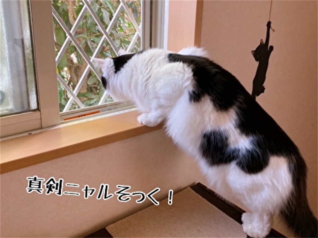 f:id:fukufukudo:20220120193823j:plain
