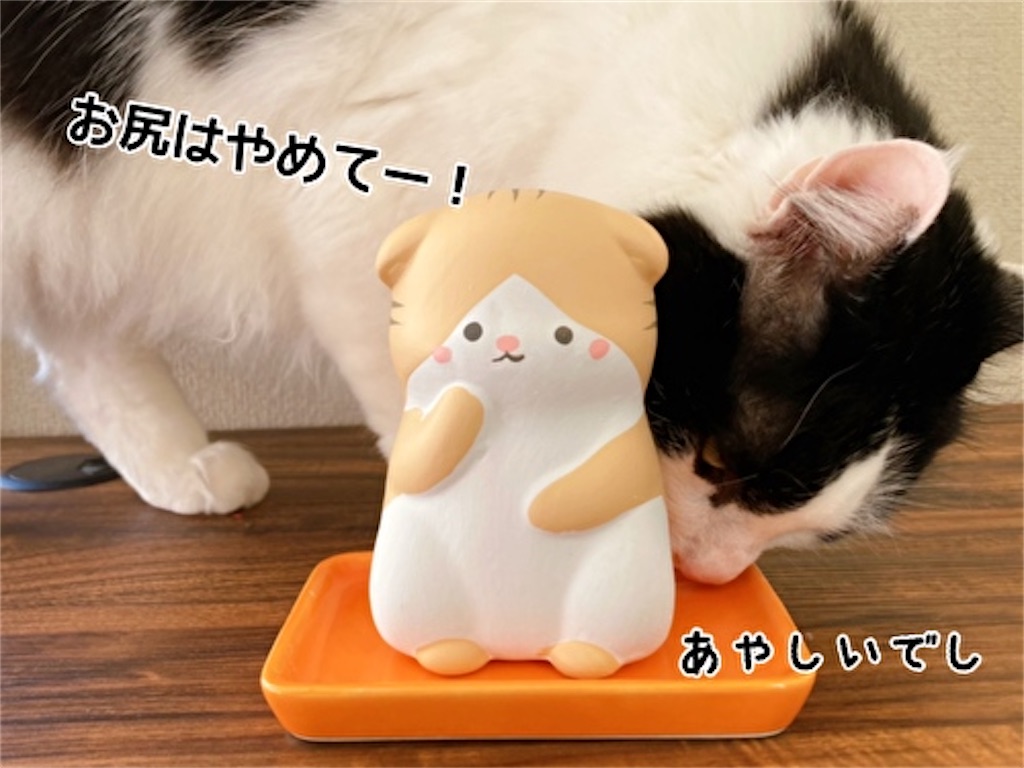 f:id:fukufukudo:20220123171309j:plain