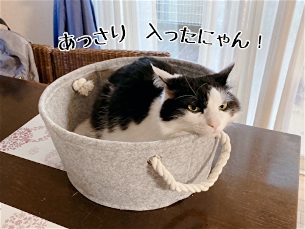 f:id:fukufukudo:20220123171511j:plain