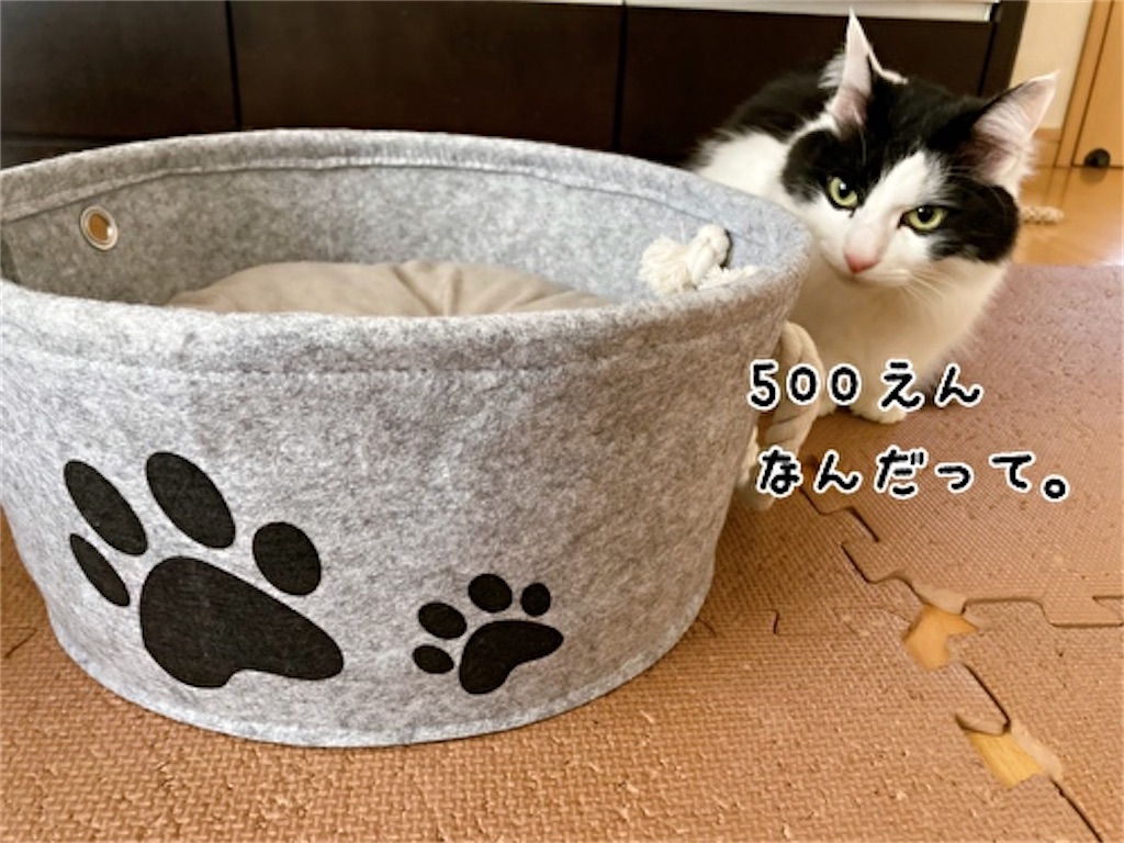 f:id:fukufukudo:20220124135030j:plain
