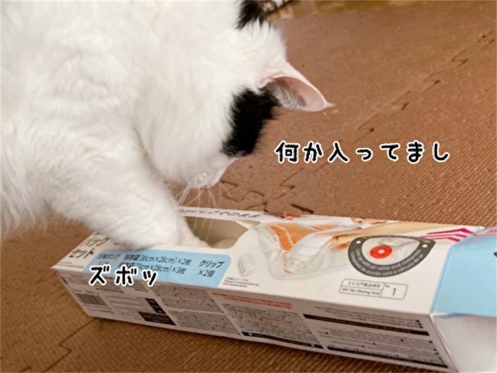 f:id:fukufukudo:20220124135113j:plain