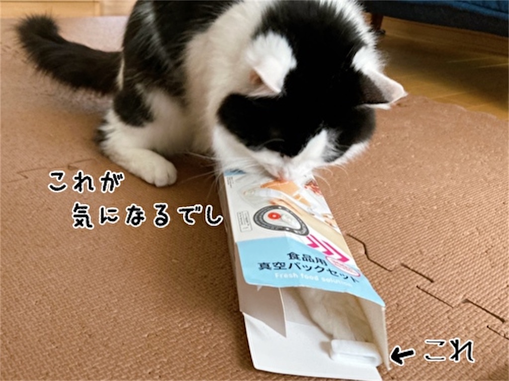 f:id:fukufukudo:20220124135201j:plain