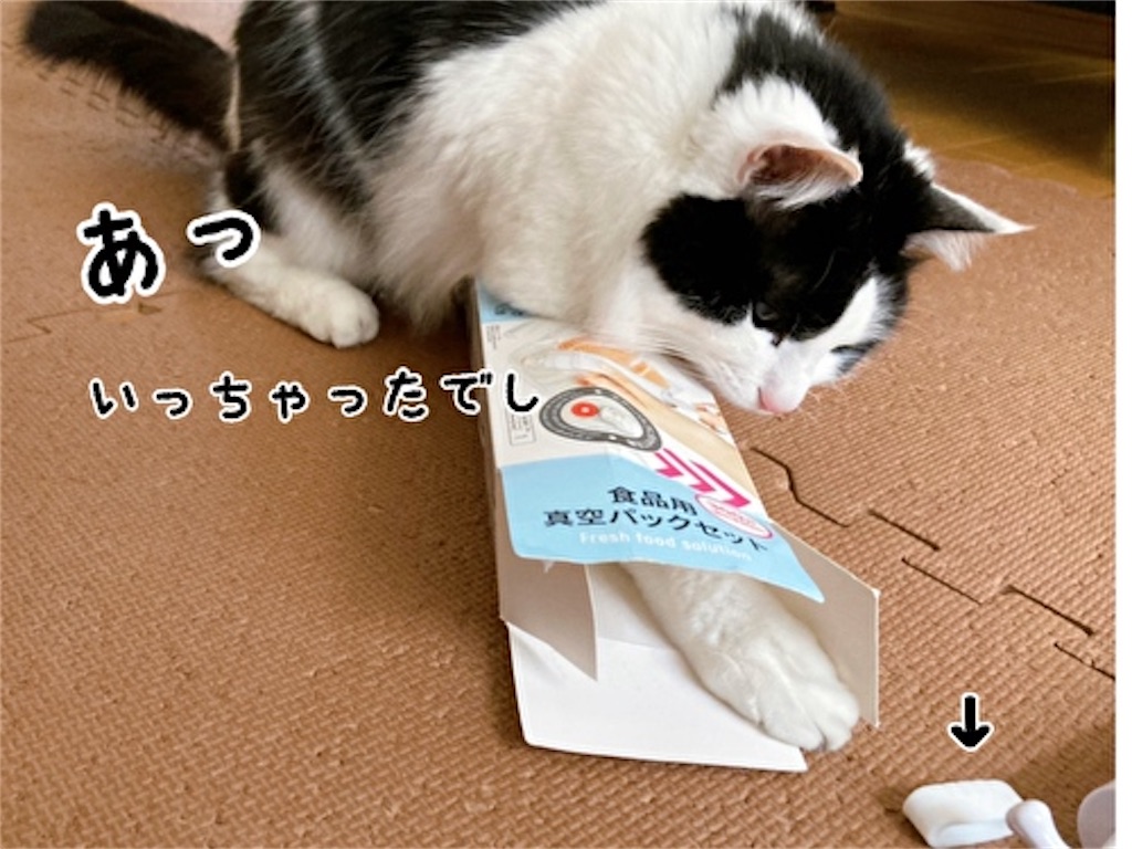 f:id:fukufukudo:20220124135213j:plain