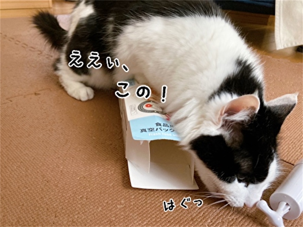 f:id:fukufukudo:20220124135221j:plain