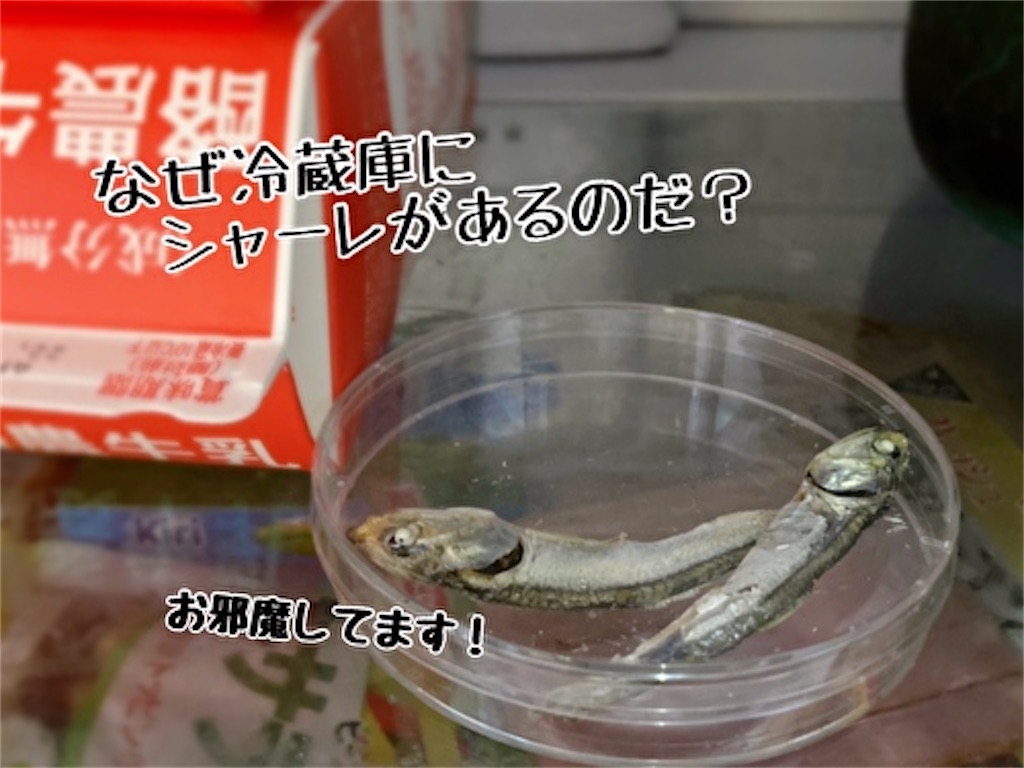 f:id:fukufukudo:20220126103441j:plain