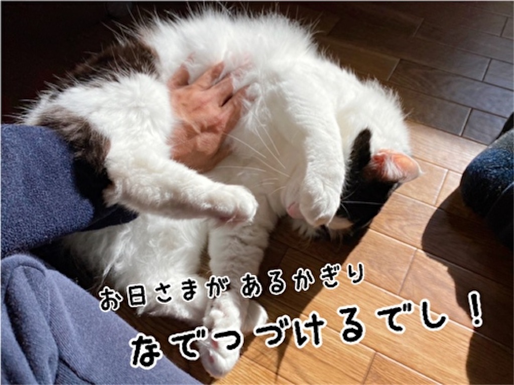 f:id:fukufukudo:20220126103522j:plain
