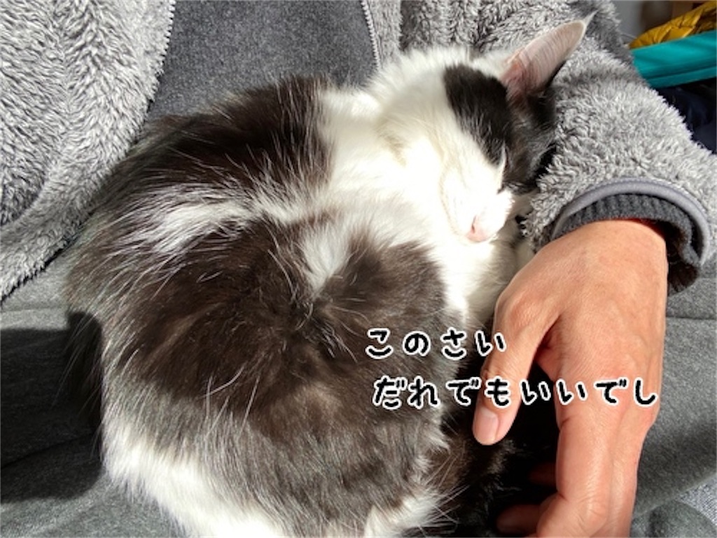 f:id:fukufukudo:20220126103604j:plain