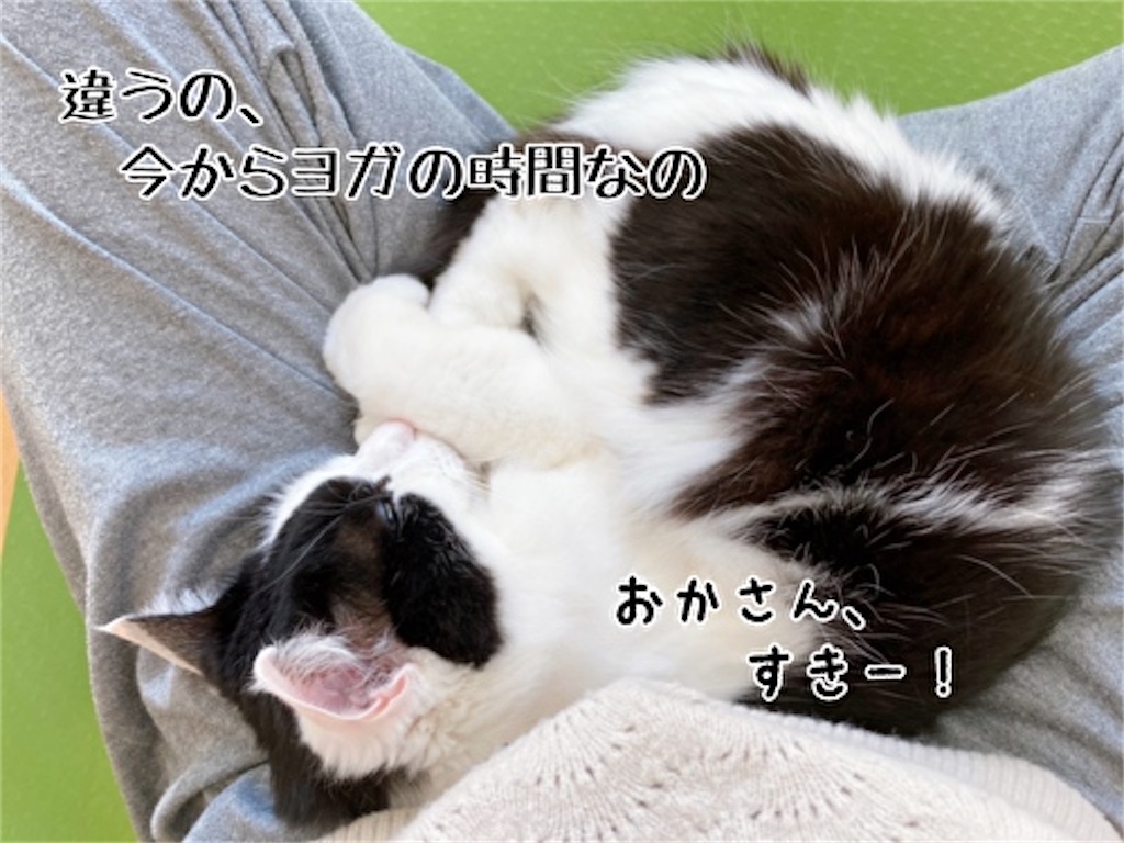 f:id:fukufukudo:20220126103751j:plain