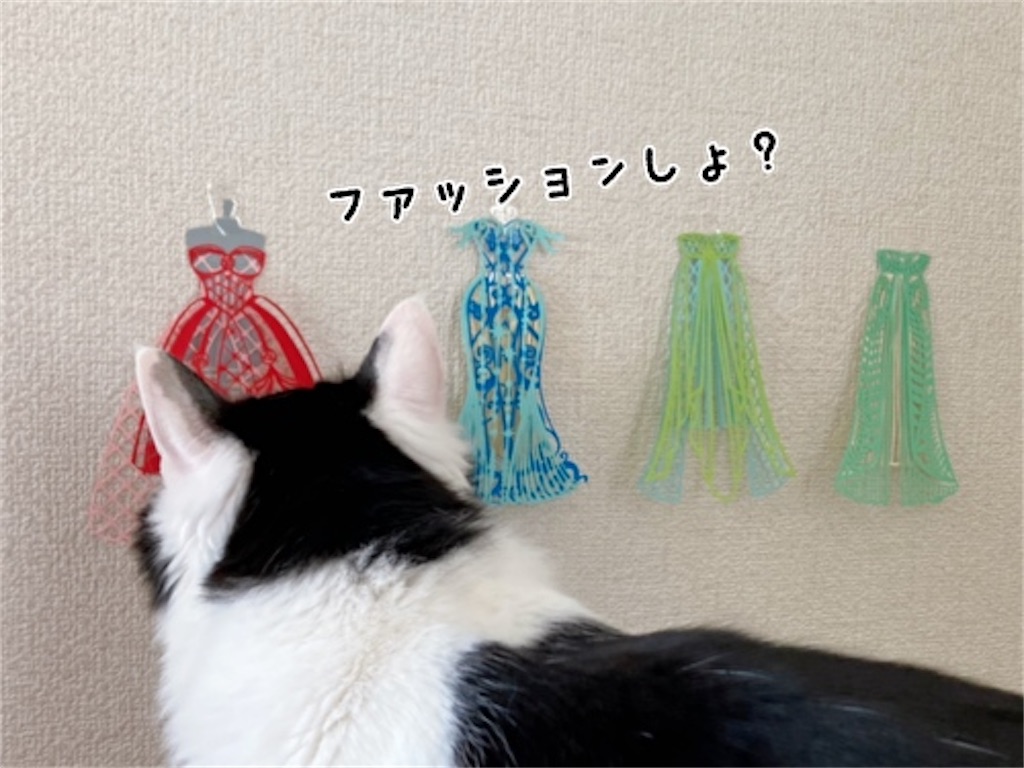f:id:fukufukudo:20220203165633j:plain