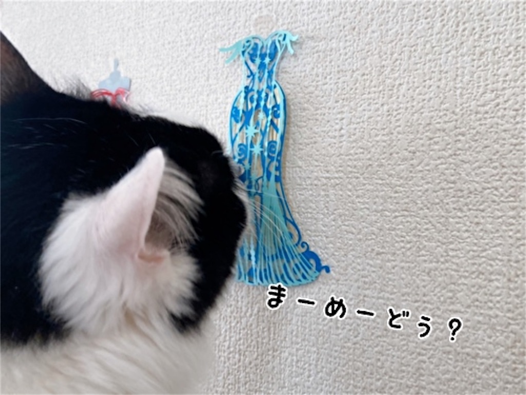 f:id:fukufukudo:20220203165718j:plain