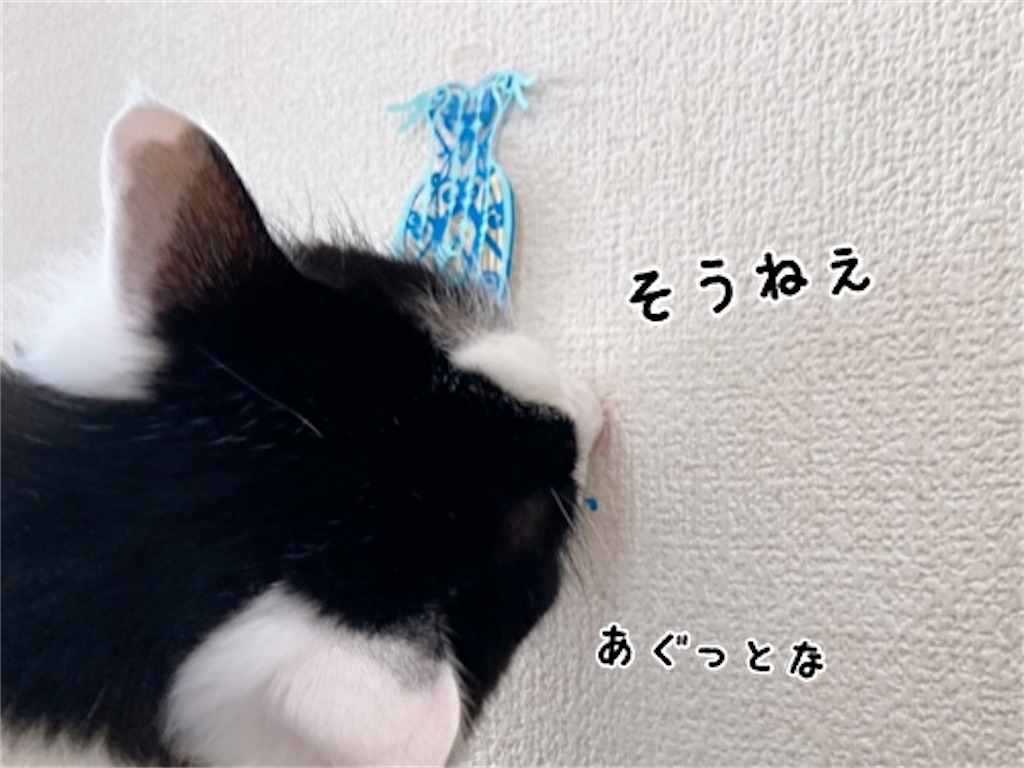 f:id:fukufukudo:20220203165728j:plain