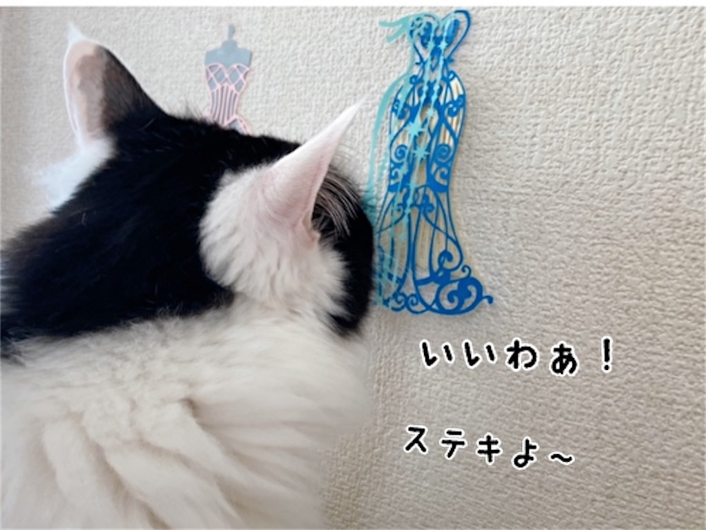f:id:fukufukudo:20220203165821j:plain