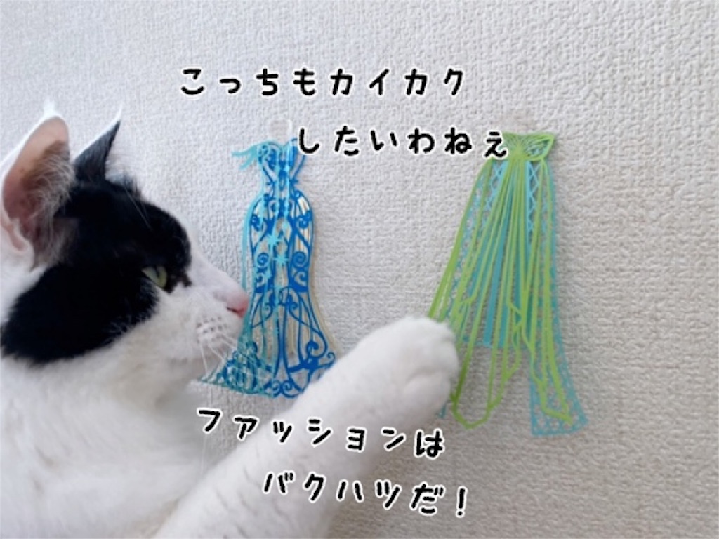 f:id:fukufukudo:20220203170701j:plain