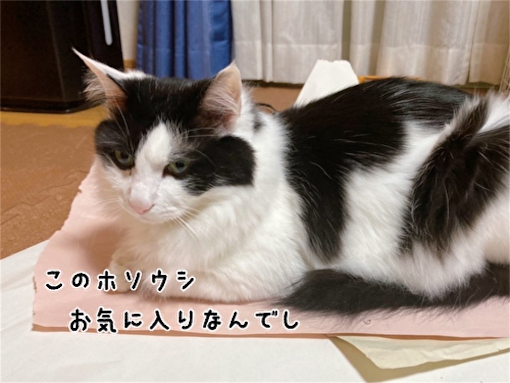 f:id:fukufukudo:20220209205525j:plain