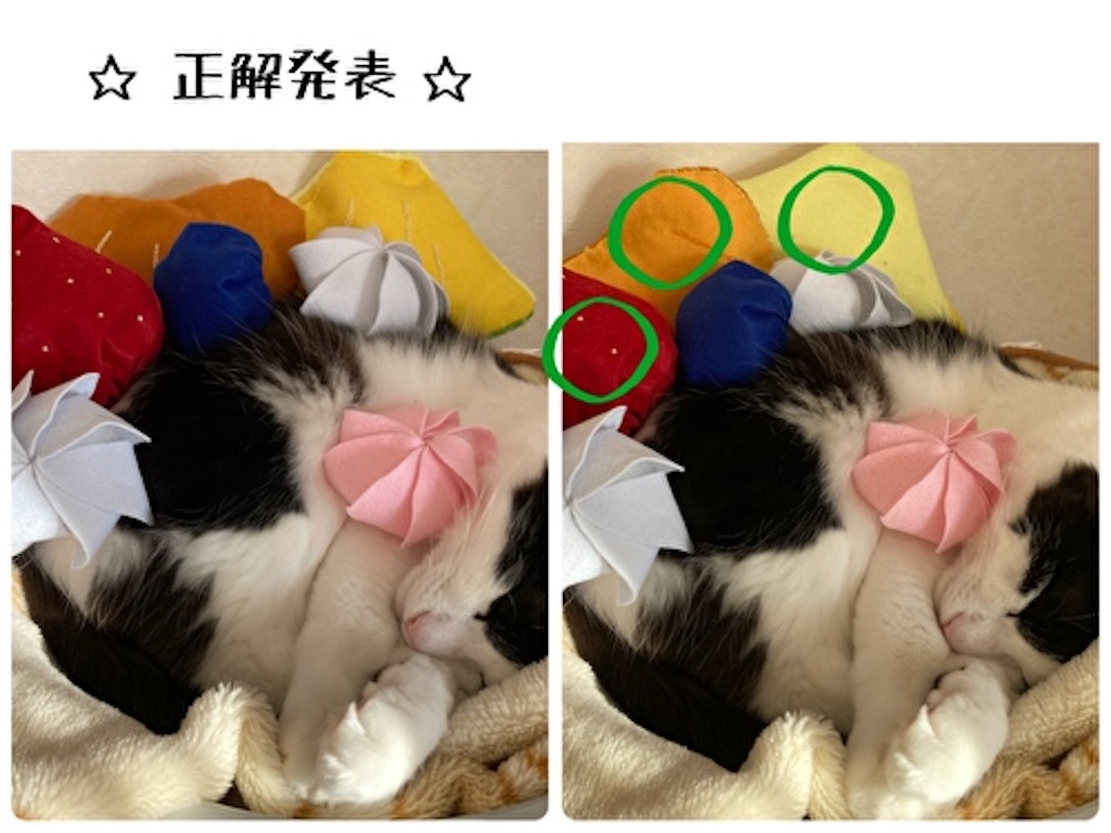 f:id:fukufukudo:20220209205555j:plain