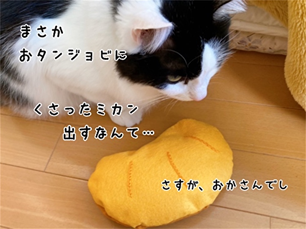 f:id:fukufukudo:20220209205611j:plain