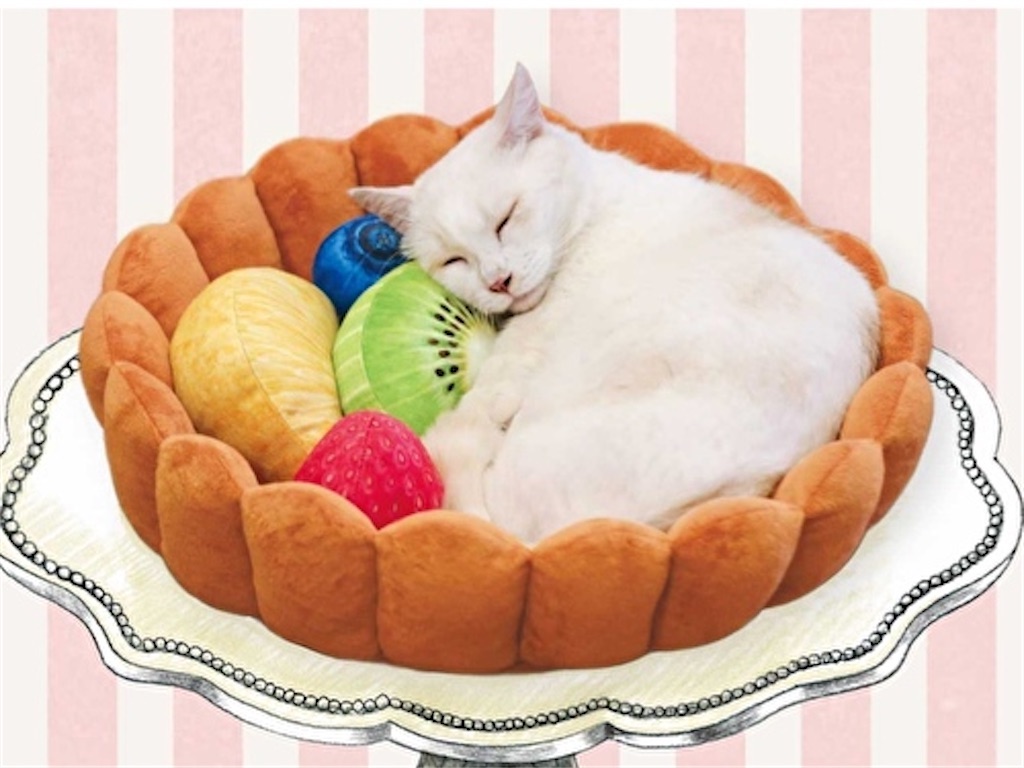 f:id:fukufukudo:20220209210257j:plain