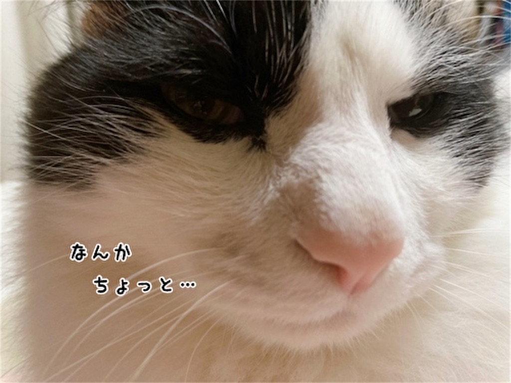 f:id:fukufukudo:20220213160928j:plain