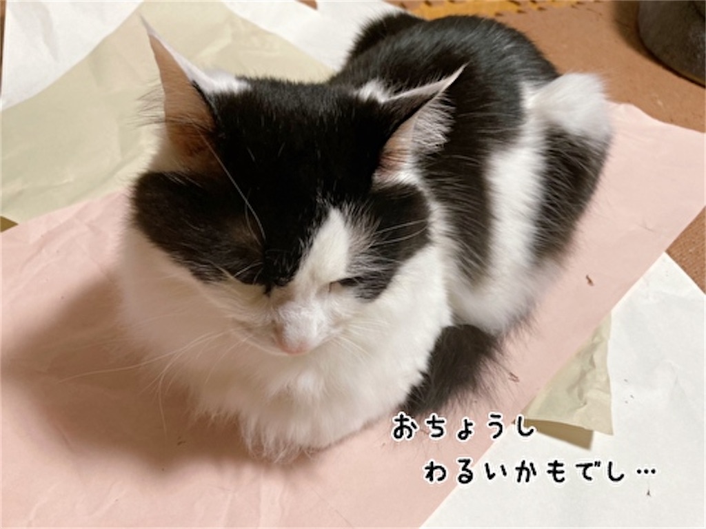 f:id:fukufukudo:20220213160944j:plain