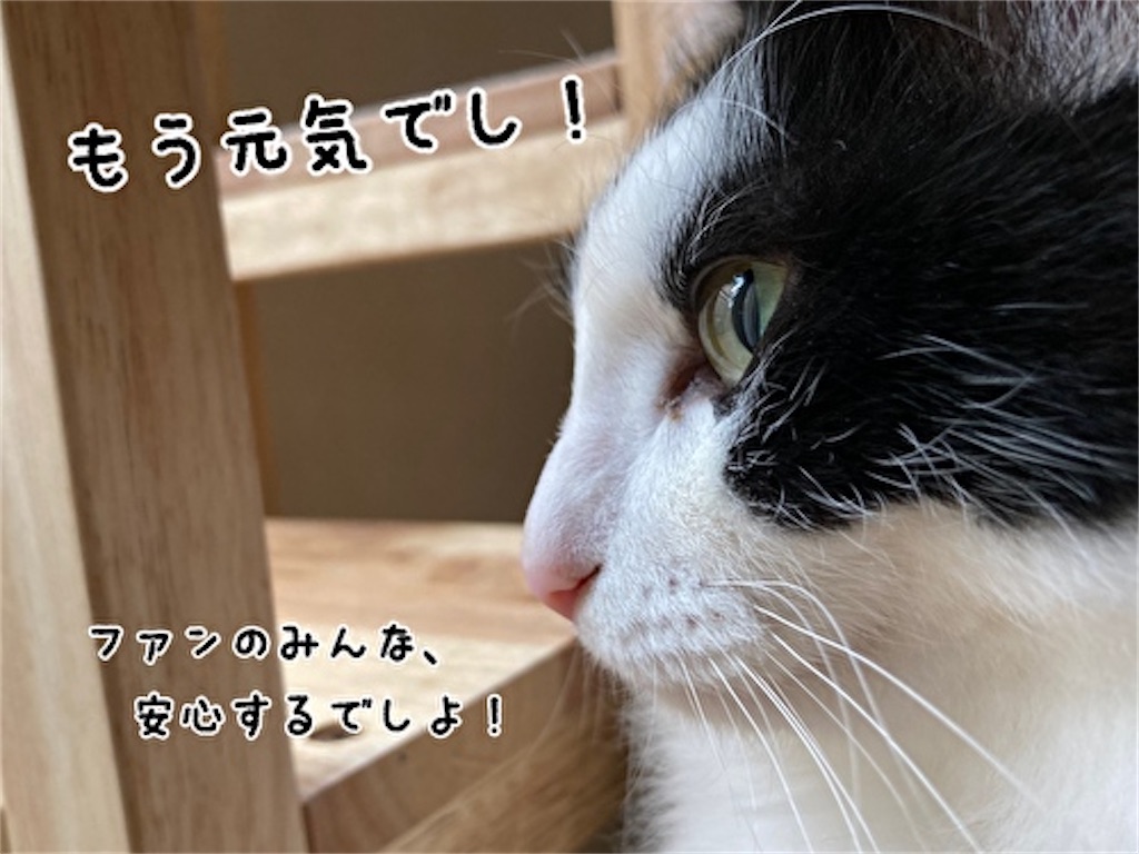 f:id:fukufukudo:20220213203428j:plain