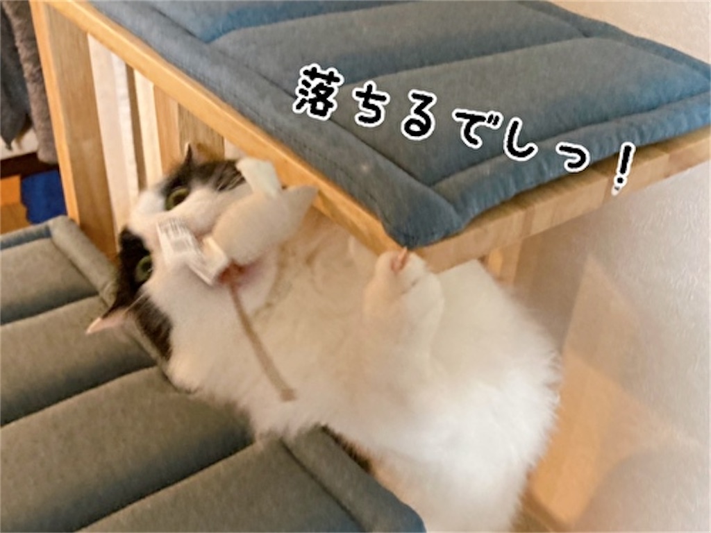 f:id:fukufukudo:20220217132924j:plain