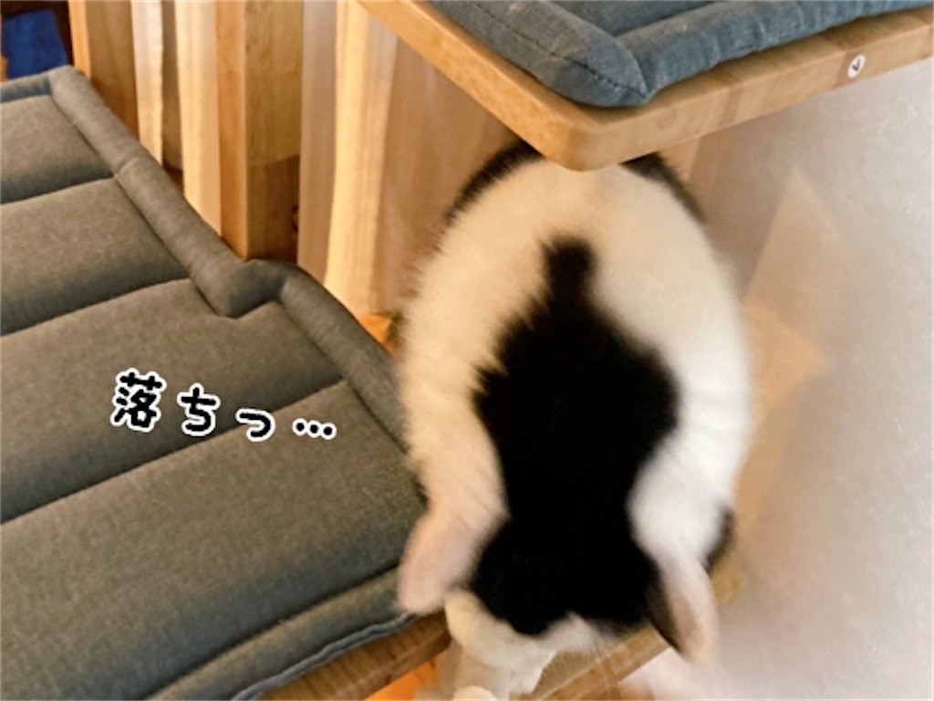 f:id:fukufukudo:20220217132931j:plain