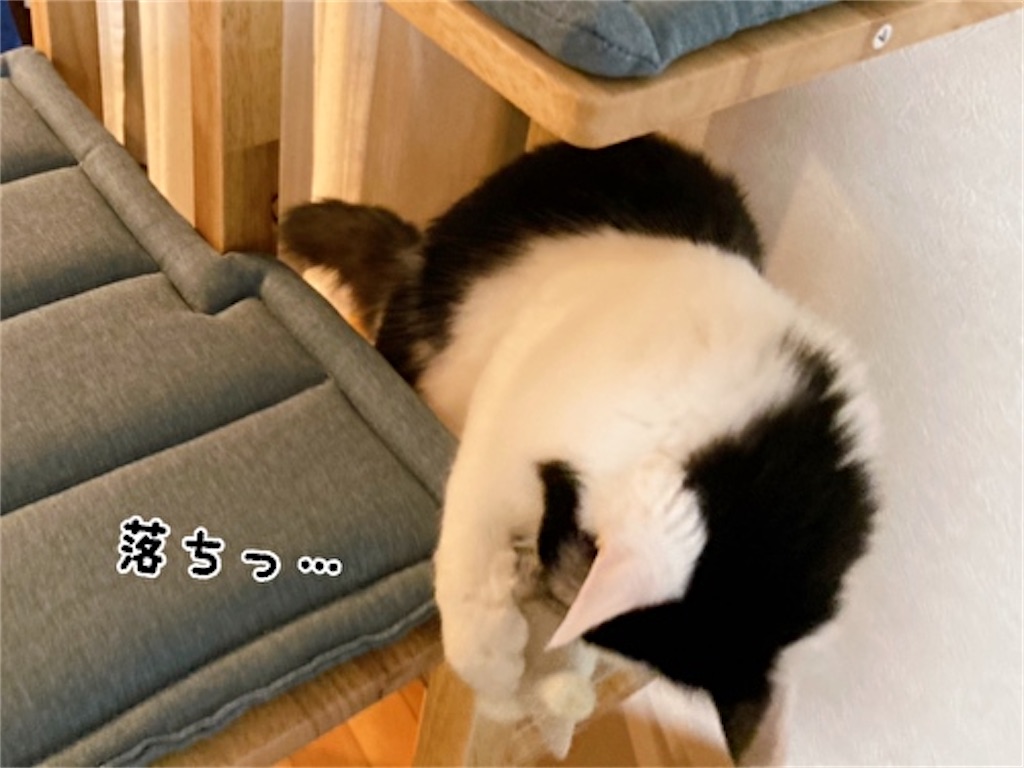 f:id:fukufukudo:20220217132938j:plain