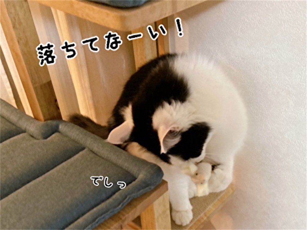 f:id:fukufukudo:20220217132944j:plain