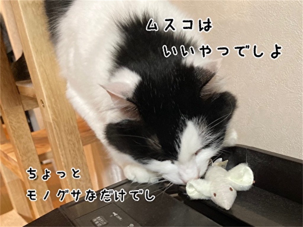f:id:fukufukudo:20220218063727j:plain