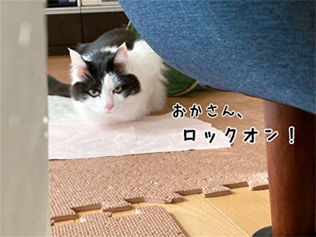 f:id:fukufukudo:20220220084633j:plain