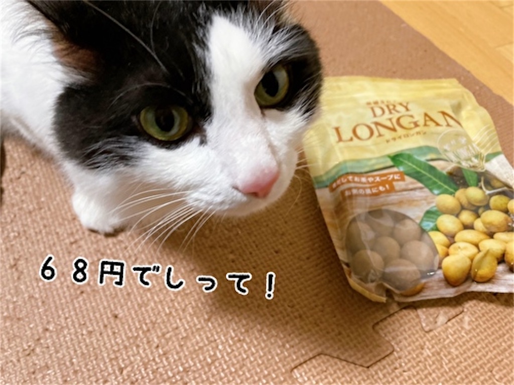 f:id:fukufukudo:20220220084646j:plain