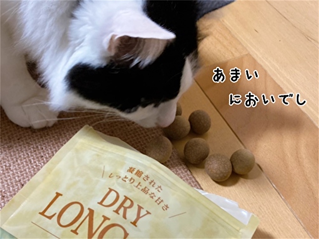 f:id:fukufukudo:20220220084703j:plain