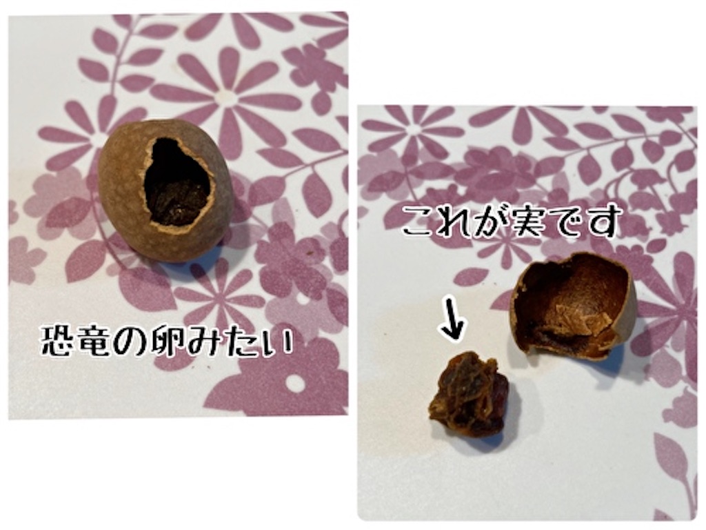 f:id:fukufukudo:20220220084731j:plain