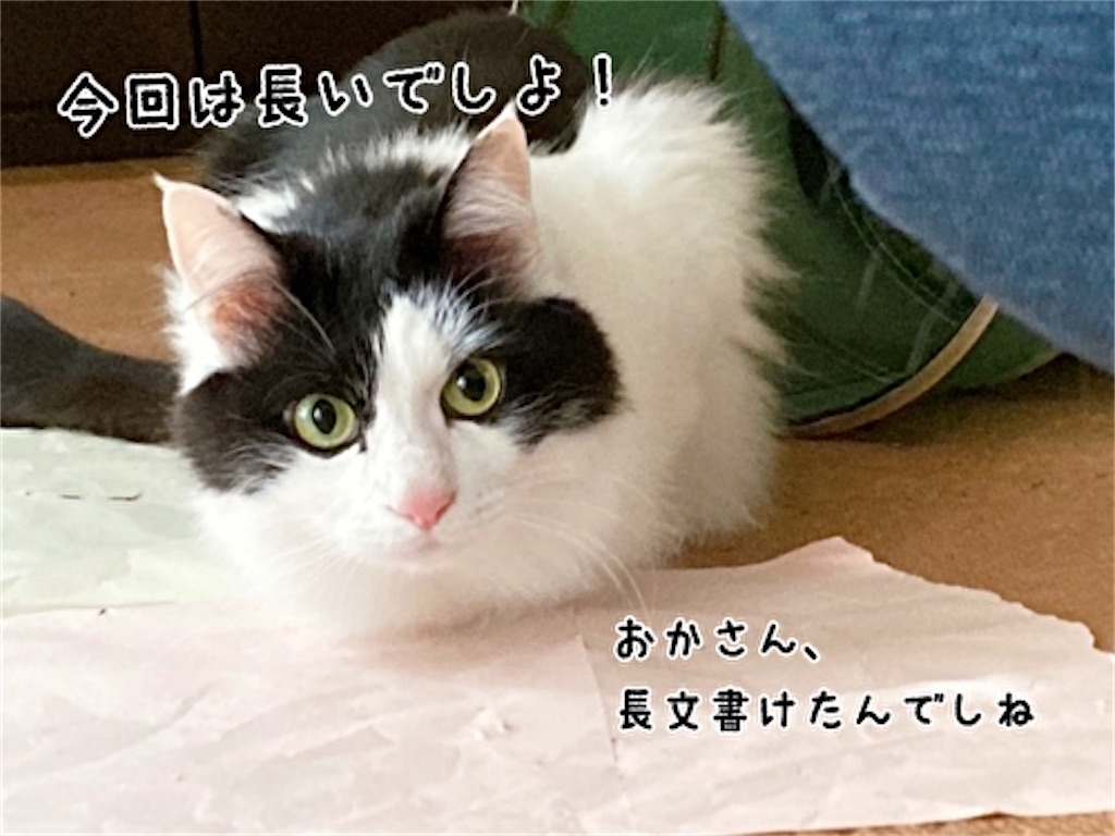 f:id:fukufukudo:20220224161751j:plain