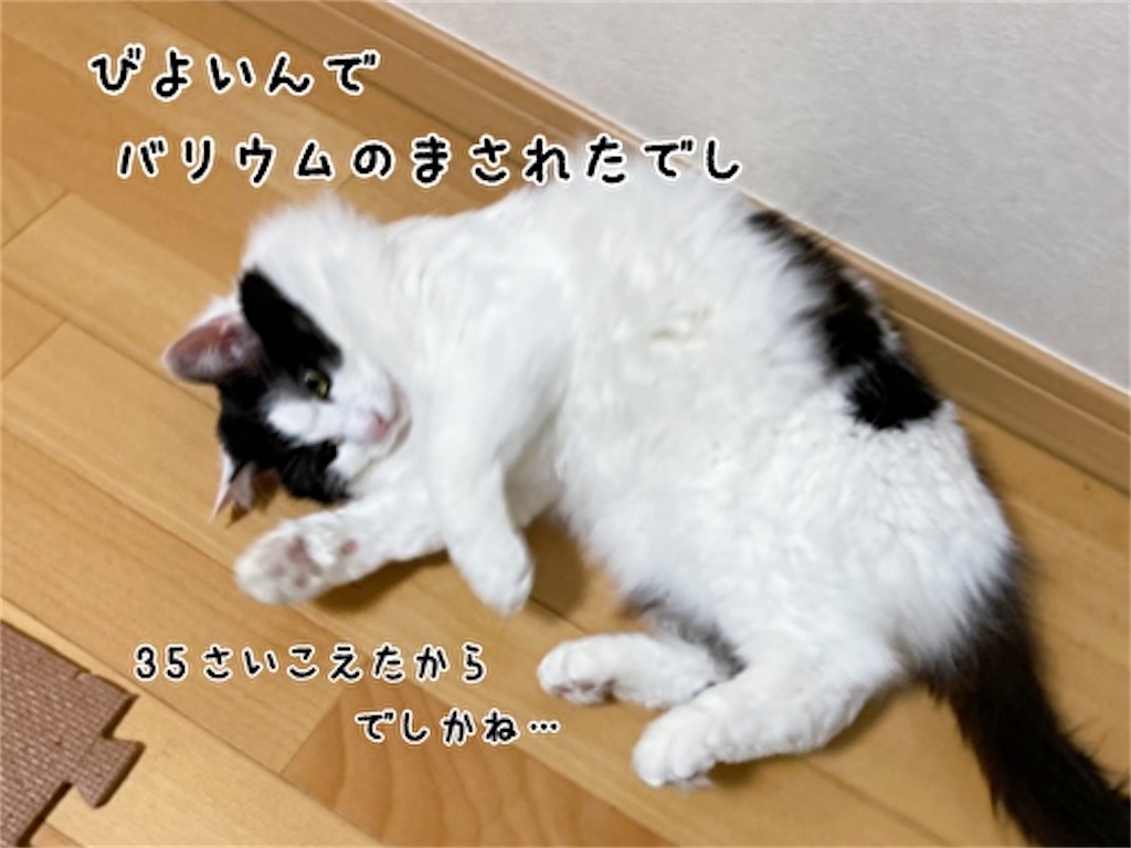 f:id:fukufukudo:20220224161840j:plain