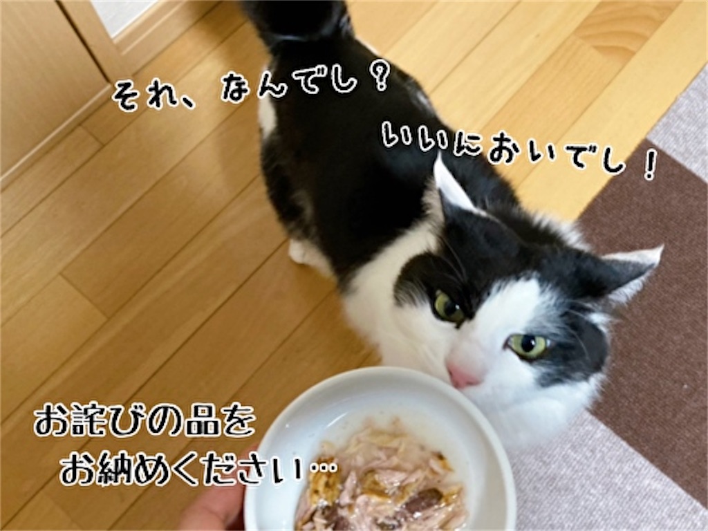 f:id:fukufukudo:20220224192237j:plain