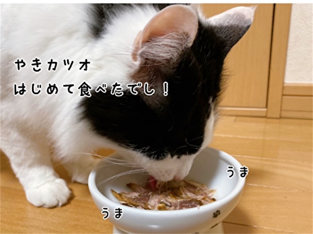 f:id:fukufukudo:20220224192322j:plain