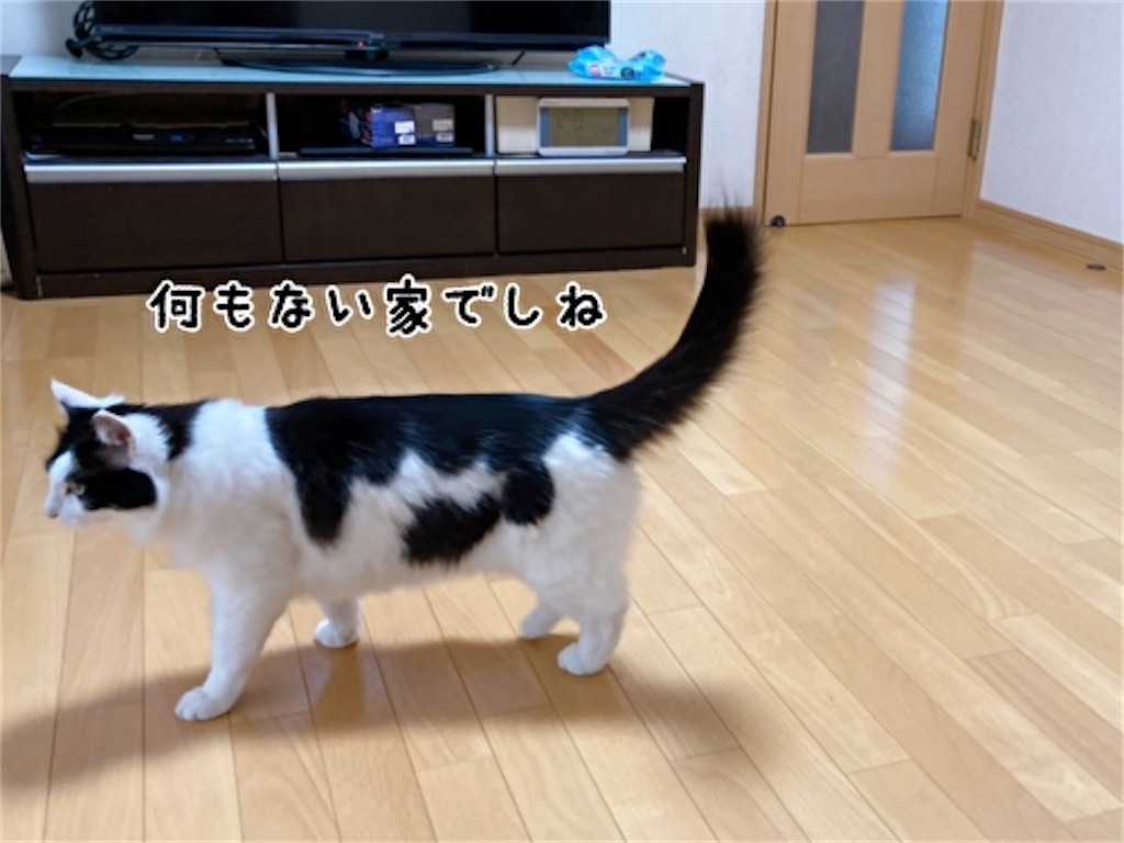 f:id:fukufukudo:20220225093513j:plain