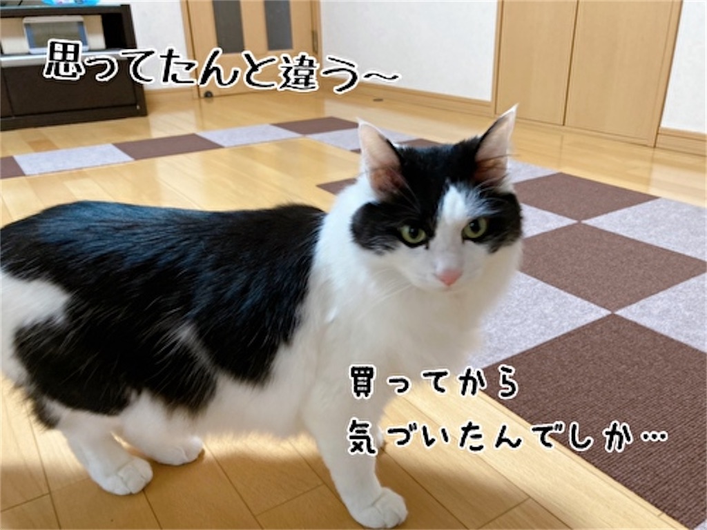 f:id:fukufukudo:20220225093527j:plain