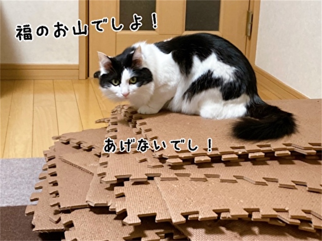 f:id:fukufukudo:20220225093535j:plain