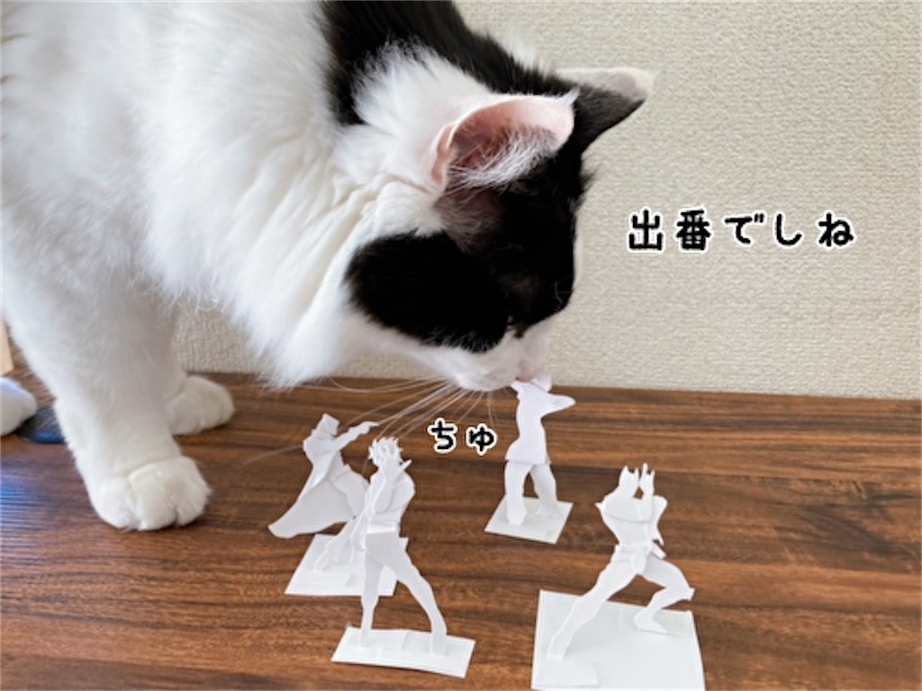 f:id:fukufukudo:20220228150042j:plain