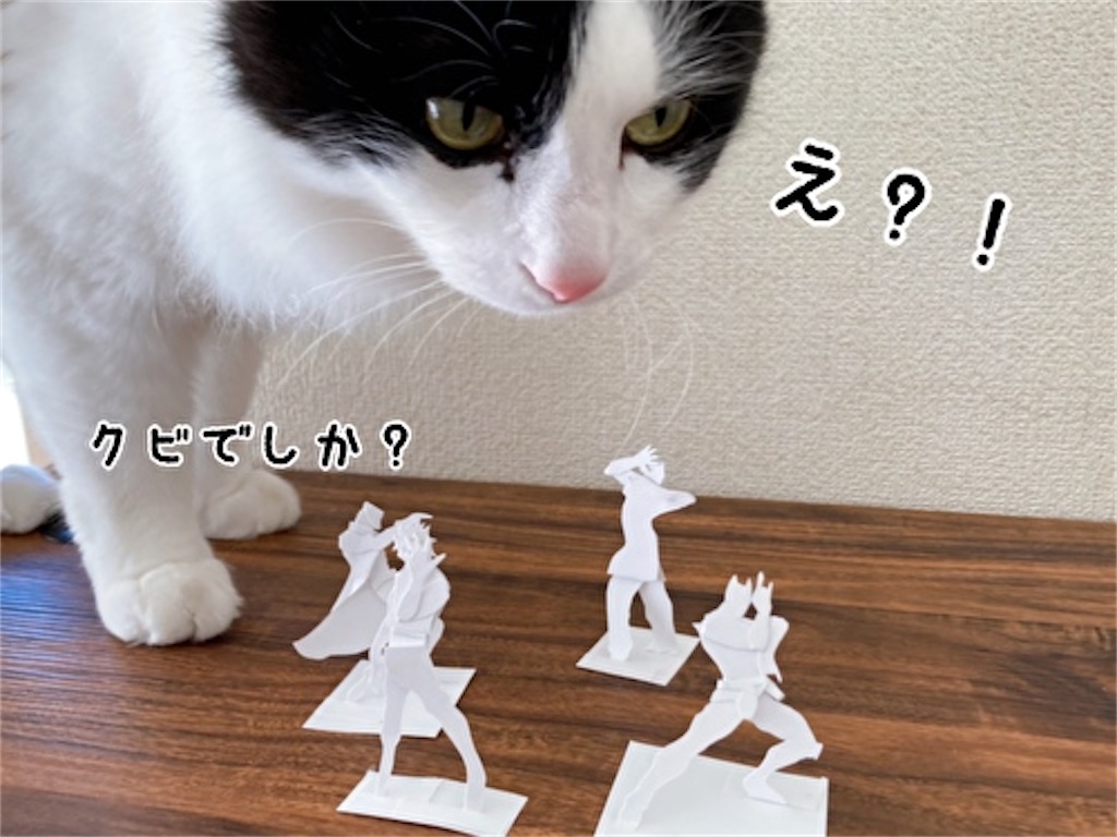 f:id:fukufukudo:20220228150142j:plain