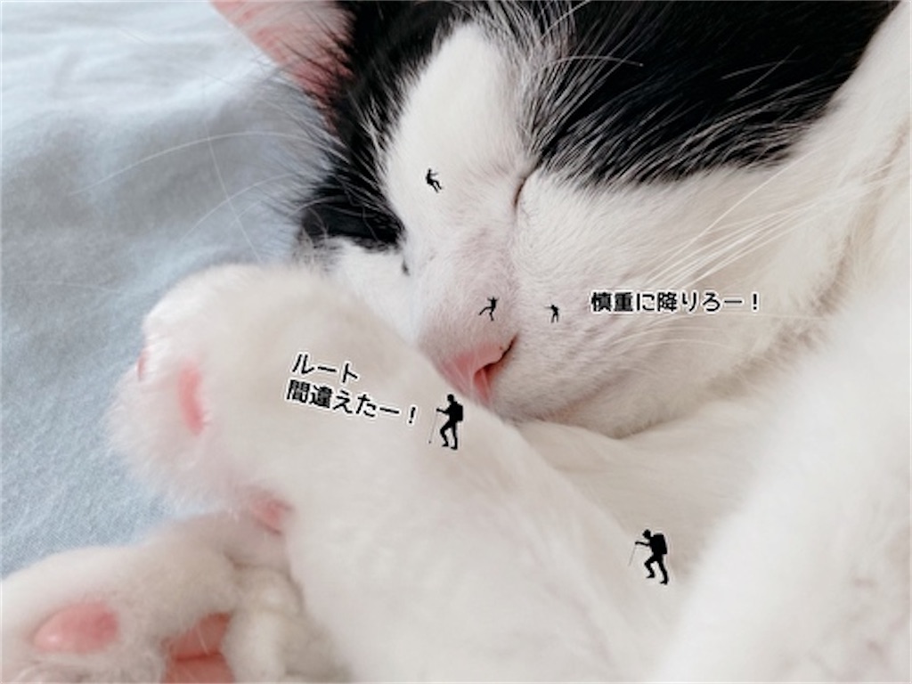 f:id:fukufukudo:20220310150410j:plain