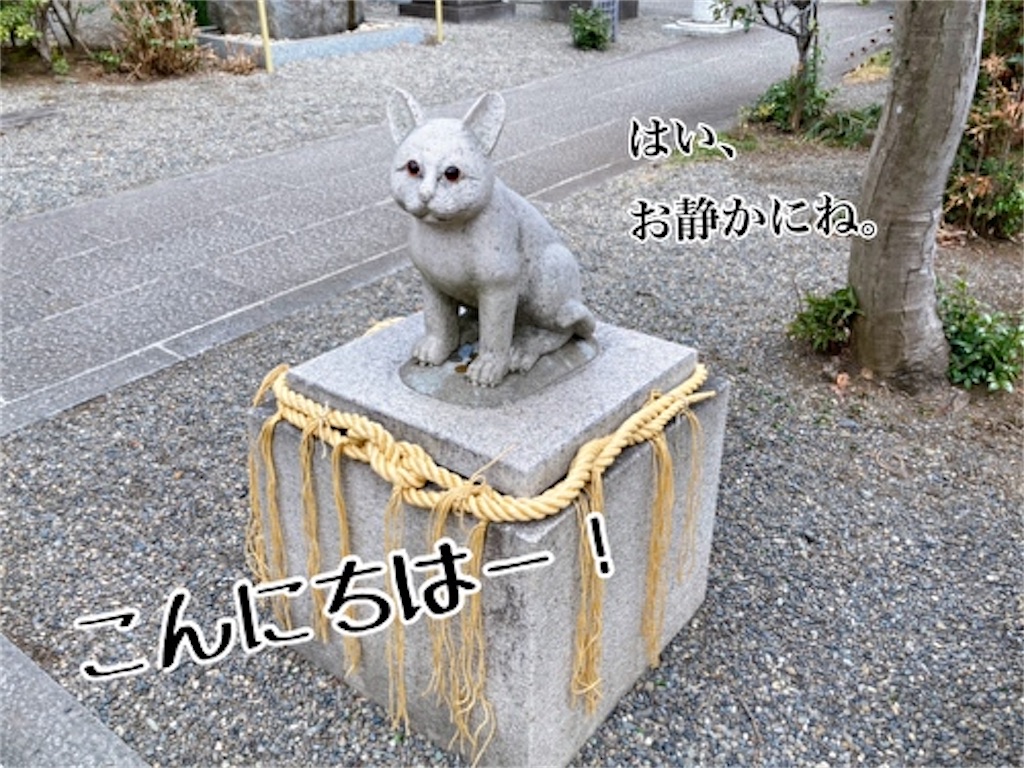 f:id:fukufukudo:20220310150430j:plain