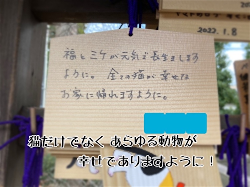 f:id:fukufukudo:20220310150521j:plain