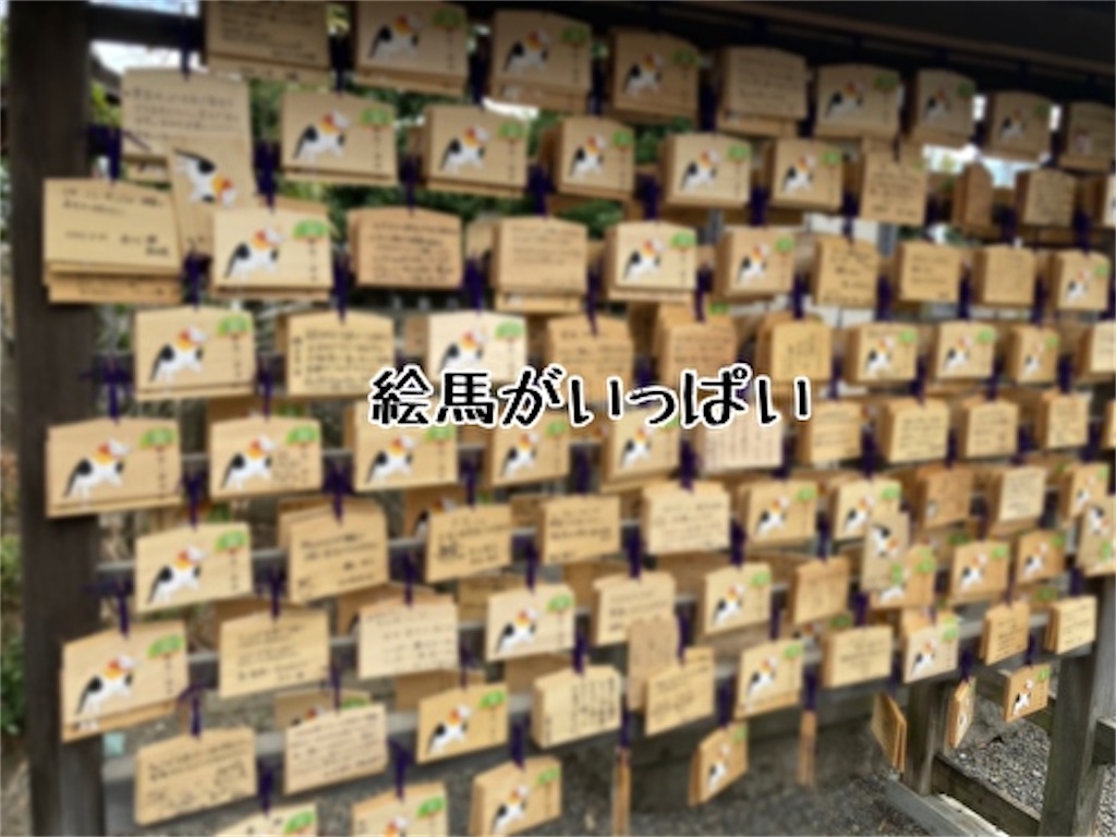 f:id:fukufukudo:20220310150608j:plain