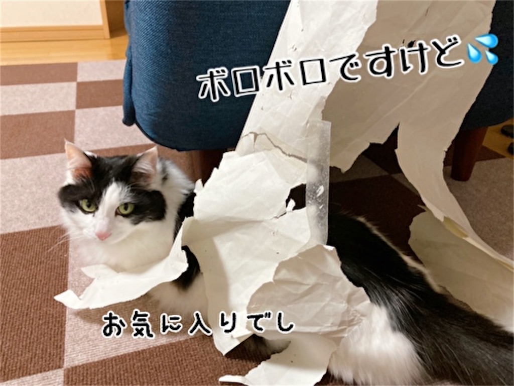 f:id:fukufukudo:20220313151058j:plain