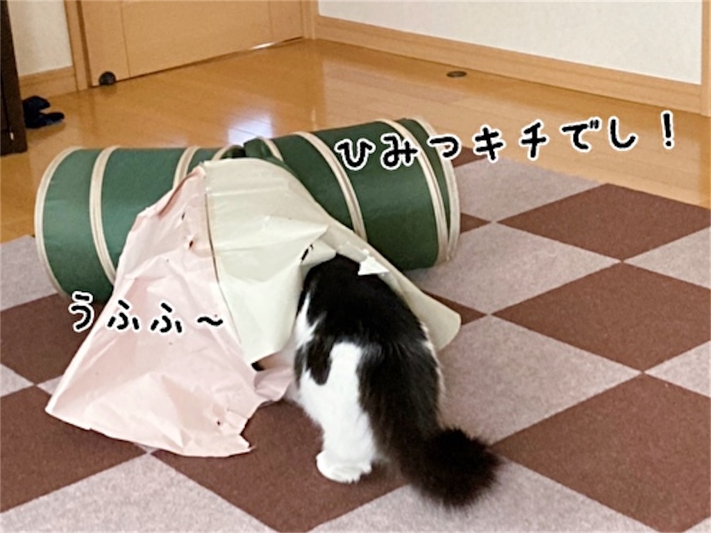 f:id:fukufukudo:20220313151531j:plain