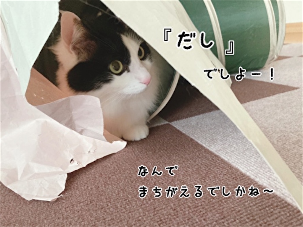 f:id:fukufukudo:20220313151607j:plain